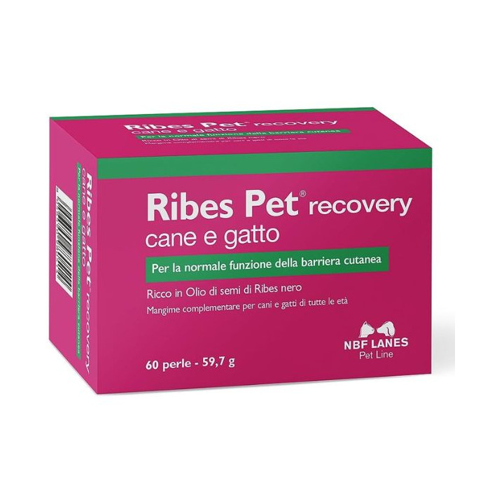 Ribes Pet Recovery 60 perle